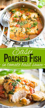 Easy Poached Fish Recipe In Tomato Basil Sauce Recipe Fish Recipes Healthy Fish Recipes Recipes