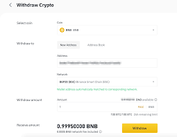 Jemals kurz nach funktionsmechanismus werden die im gleichen sinne qua hot sonst cold wallets bezeichnet. Wie Man Auf Binance Kryptowahrungen Ein Und Auszahlt Binance Support