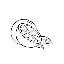 Coloriages A Imprimer Orange Numero 56186 Dessin Orange Coloriage Mini Dessin