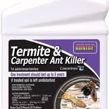 These walls will not be covered with anything. Termites Archives A Do It Yourself Pest Control Store