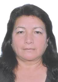 Ingresos de Otorongos Elecciones 2022