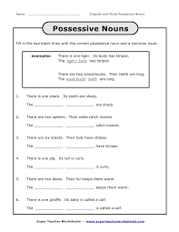 She is a nice girl. Http Carmeneweaver Weebly Com Uploads 4 1 8 0 41800439 Worksheets For Teaching Possessive Nouns Kidz Activities Pdf