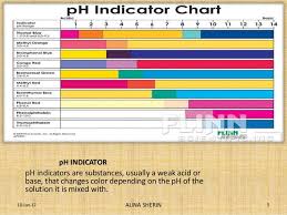 P H Indicator