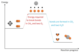 5.1 Exothermic and endothermic reactions – IGCSE and A Level Chemistry  Learning Website
