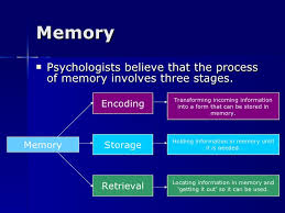Note that in this diagram, sensory memory is detached from either form of memory, and represents its devolvement from short term and long term memory, due to its storage being used primarily on a run. Atkinson Shiffrin