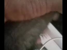80gays july 4 video exclusive. African Videos Gay Sex Gay Tube