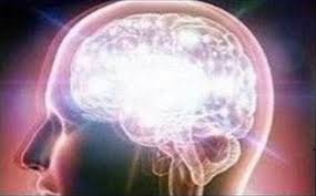 Expanding Brain Generator