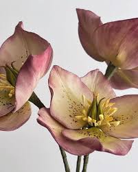 Check spelling or type a new query. Incredibly Realistic Sugar Flowers Turn Cakes Into Edible Bouquets