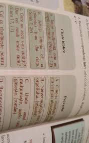 Secretul din spatele siluetei impecabile a cristinei șișcanu. DupÄƒ Modela2 RealizeazÄƒ CorespondenÈ›aa Cproverbecitate Biblicea Cine Si Cinsteste Panu Va Pieri Brainly Ro