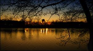 13 02 2018 Catching The Evening Light Sunset Outdoor Celestial