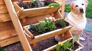 Want to grow your own vegetables and food, but don't have enough space for a garden? 5 Exotic Vegetables To Grow In Small Spaces