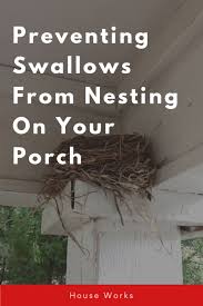 Preventing Swallows From Nesting On Your Porch In 2020 Nest Prevention Porch