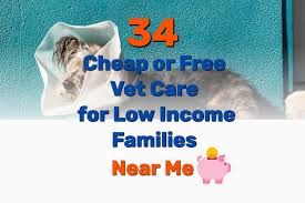 Check spelling or type a new query. 34 Cheap Or Free Vet Care For Low Income Families Near Me Frugal Living Coupons And Free Stuff