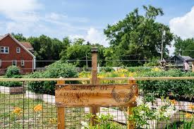 Community Garden and Gathering Place Transforms Detroit Neighborhood