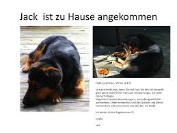 Brumm has returned home safely and he is extremely excited about his holidays in berlin. Ppt Jack Ist Zu Hause Angekommen Powerpoint Presentation Free Download Id 5063692