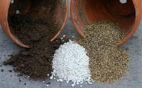 For succulents, use up to half pumice in your potting soil. Vermiculite Vs Perlite Differences Uses Benefits To Know