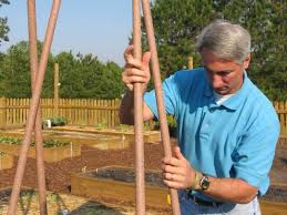 The simplest supports include sturdy stakes, poles, and bamboo canes. How To Build A Bamboo Teepee How Tos Diy