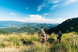 Some of the very basics are discussed on just what is needed to go hiking and have an healthy and enjoyable time. 5 Reasons Why You Should Go Hiking