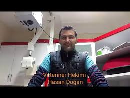 Kediler Neden Isirir Youtube