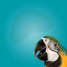 Add a store to let us know about it. Animart Pet Stores Inc