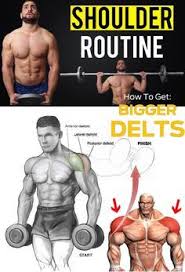 Maybe you would like to learn more about one of these? Seated Dumbbell Late Seated Dumbbell Lateral Raise Schulter Training Schulterubungen Bodybuilding