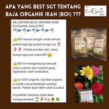 Untuk lebih detail, bunga daisy ada tujuh pasu, bunga ros ada empat pasu dan bunga orkid ada jika sebelum ni, cik rose pernah buat entry khas cara penjagaan bunga daisy, kali ini cik rose nak 3) berikan baja pokok dan bunga untuk menambahkan nutrien pokok. Ecogarden Asia Plant Nursery Terrarium Mini Garden Beitrage Facebook