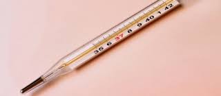 Is Your Forehead Good Enough For A Fever Check? | Office For Science And  Society - Mcgill University