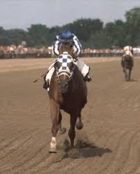 Secretariat horses, beautiful horses, thoroughbred horse. 38 Secretariat Quotes Ideas Secretariat Secretariat Horse Racehorse