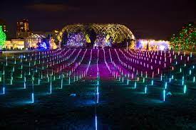 A cover of fresh snow made the display even more impressive! A Front Range Holiday Tradition Blossoms Of Light At Denver Botanic Gardens Arts Entertainment Gazette Com