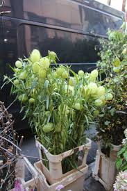 Check spelling or type a new query. B Floral S Guide To The New York City Flower Market