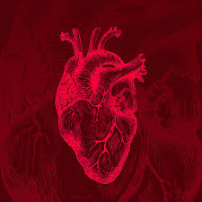 A very serious medical emergency, where the circulation of the blood stops due to your heart stopping. Ai That Detects Cardiac Arrests During Emergency Calls Will Be Tested Across Europe This Summer The Verge