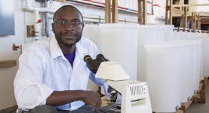 نتیجه جستجوی لغت [biologist] در گوگل