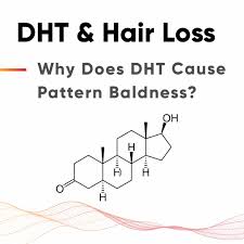 Dihydrotestosterone (dht) is an androgen. Inhibiting Dht As A Treatment For Hair Loss Revian Red All Led Red Light Therapy For Hair Loss 10 Minutes Per Day Revian Red All Led Red Light Therapy