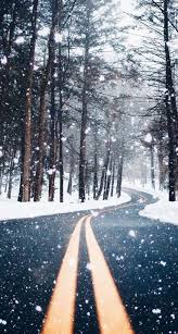 Wall murals is a popular wall mural category for all rooms and settings. Country Road Forest Iphone Wallpaper Cool Backgrounds