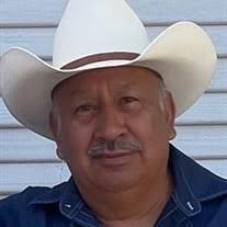 Pedro Trejo Diaz Obituary (2023)