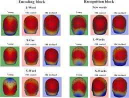 Bulgarian, chinese, czech, danish, dutch, estonian, finnish, german, greek, hungarian, italian, latvian. Self Initiated Learning Reveals Memory Performance And Electrophysiological Differences Between Younger Older And Older Adults With Relative Memory Impairment Kenney 2019 European Journal Of Neuroscience Wiley Online Library