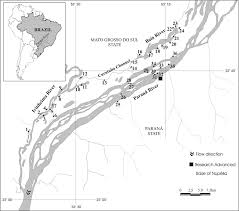 Beautiful building on the river with a wonderfully decorated and furnished room. Water Level Depth Of Upper Parana River In The Study Area From Download Scientific Diagram