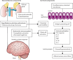 Oyunda size sorulan soruyu veya bulmacayı aklınızı çalıştırarak. The Influence Of The Brain Gut Axis In Inflammatory Bowel Disease And Possible Implications For Treatment The Lancet Gastroenterology Hepatology