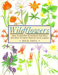 Maybe you would like to learn more about one of these? Wildflowers How To Identify Flowers In The Wild And How To Grow Them In Your Garden Imes Rick 9780875961187 Amazon Com Books