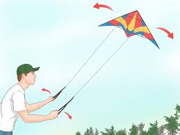 Image result for kite pictures