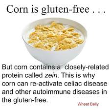 Pin By Felicia On Gluten Free Foods With Gluten Wheat Belly Diet Gluten Intolerance
