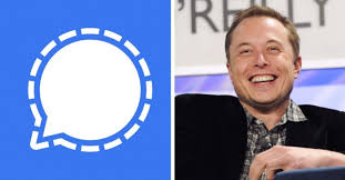 What nonsense is going on in the world? Signal User Surges Elon Musk S Tweet Whatsapp Policy