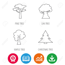 Pine Tree Maple And Oak Tree Icons Forest Trees Linear Signs