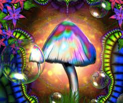 Pin On Fungi