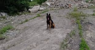 Загружается прогноз погоды на 10 дней никополь, украина. Novosti Nikopolya Posle Pyati Dnej Poiskov Nashli Mertvoj 15 Letnyuyu Devushku Foto Video Ukraina Tsn Ua