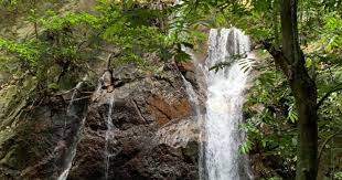Tahun depan belum tau kemana pula. Icymi Jom Vlog Season 2 Episode 6 Nature Escape To Sungai Pisang