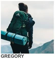 Does the citi aadvantage card have such allowance on aa flights? Home Backpack Malaysia Online Original Deuter Product