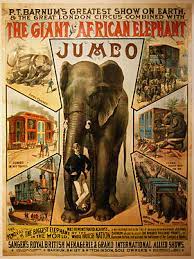 Elephant and camel are semantically related. Jumbo Simple English Wikipedia The Free Encyclopedia