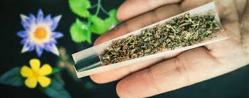 Les 10 Meilleures Alternatives Au Tabac Pour Les Joints Zamnesia Blog