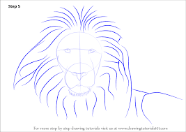 How to tuck in your sleepy lion. Learn How To Draw A Lion S Face Big Cats Step By Step Drawing Tutorials